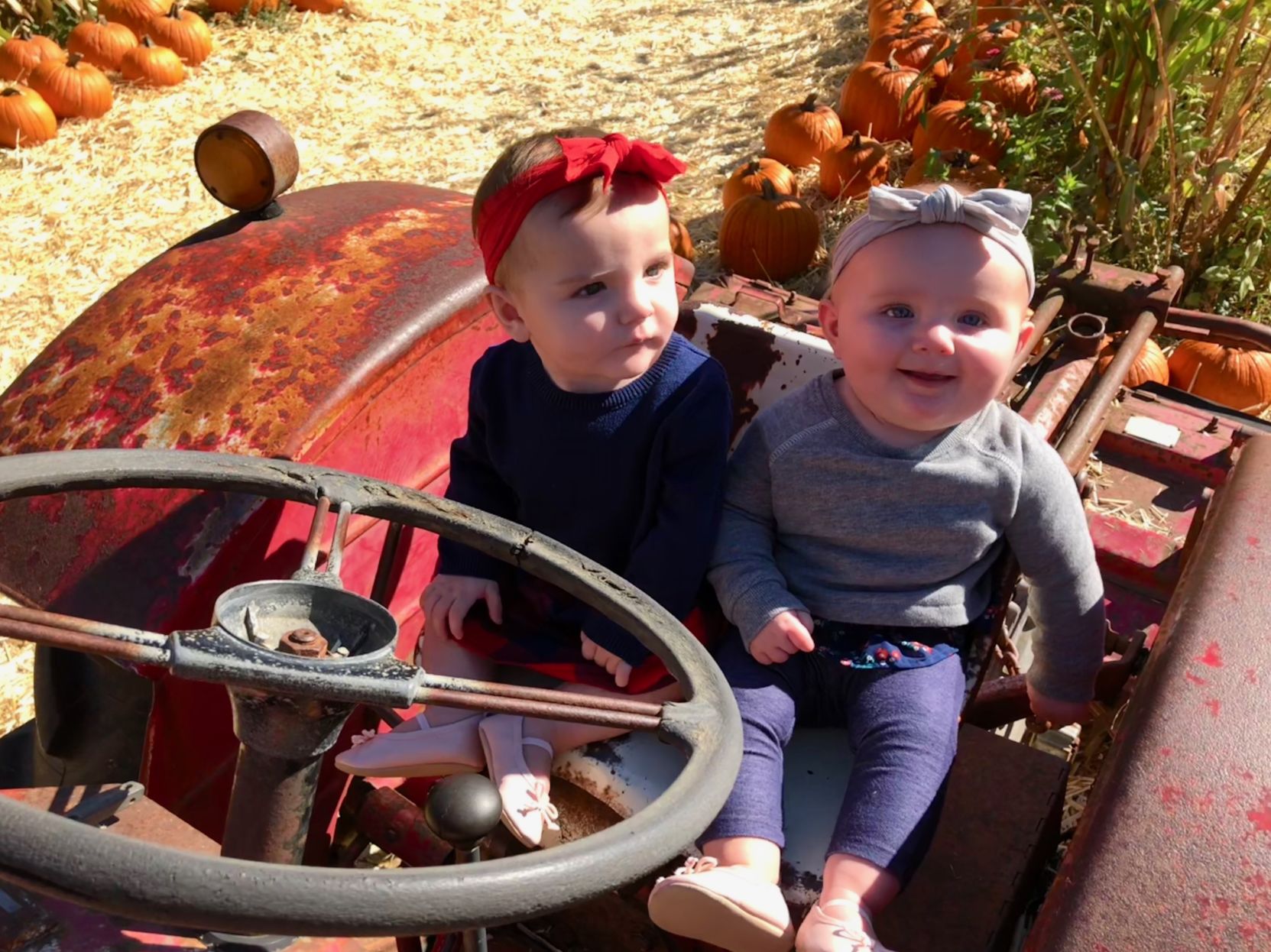 Picking Pumpkins 2017